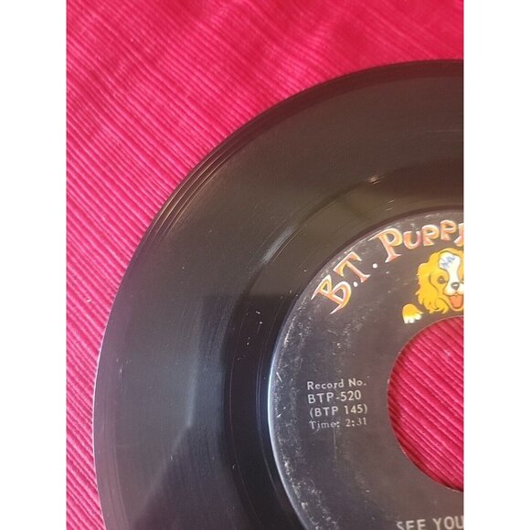 Rock 45 The Happenings - He Thinks He'S A Hero / See You In September On - Picture 14 of 15